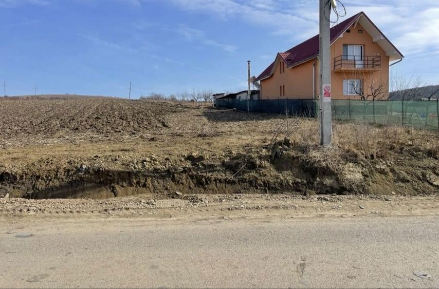 Teren intravilan de vanzare in loc. Recea Mica - 3