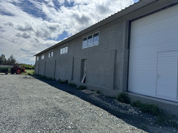 Oferim hală de închiriat - 8