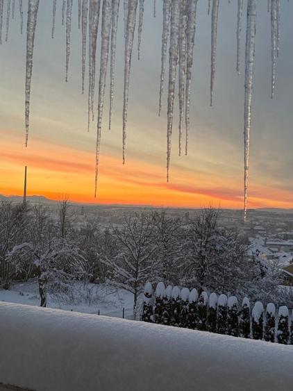 1258 mp, Strada Viilor, Baia Mare, 2 parcele alaturate, 125 000 - 8