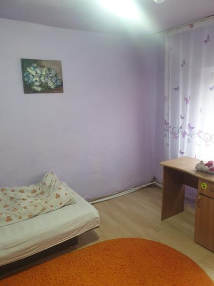 Casa individuala Cumpana Exclusivitate - 5