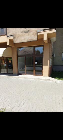 De inchiriat in Centru - 7