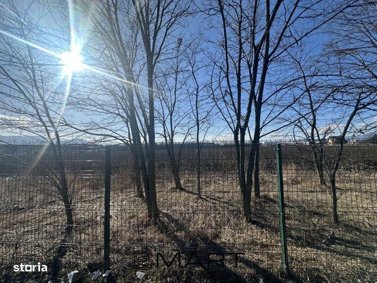 Teren Intravilan 60.000mp - 7