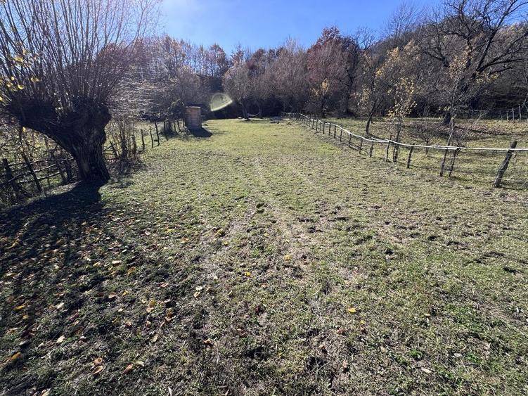 Teren intravilan Bradulet (Ungureni) , imprejmuit, langa padure - 4