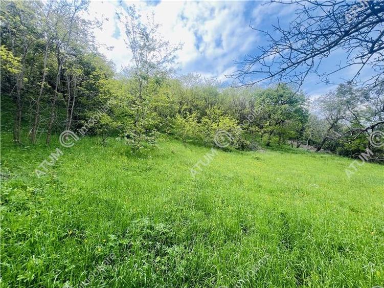 Teren intravilan de 1811 mp situat in Sibiel judetul Sibiu - 1