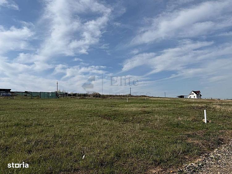 Teren intravilan 700 mp de vanzare in Paleu - 7