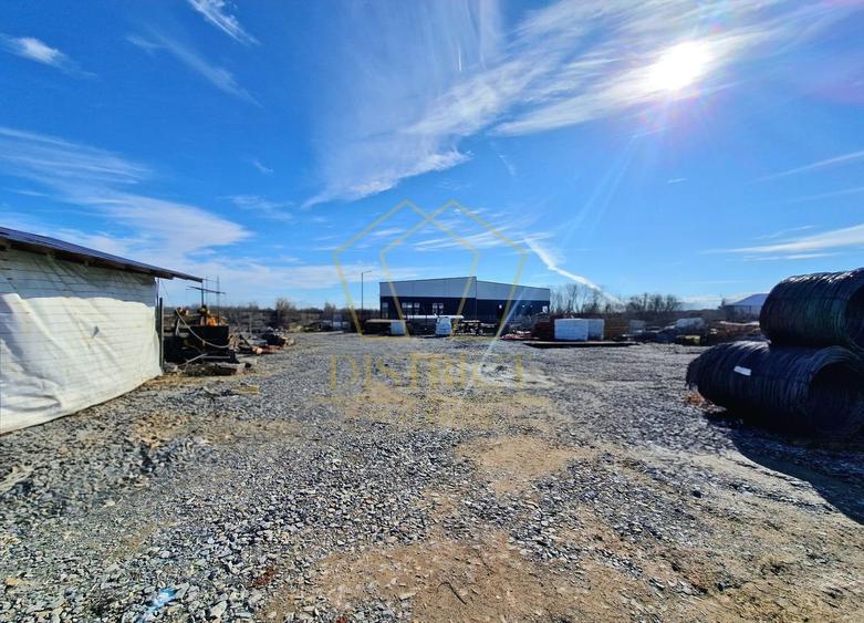 Teren / Platforma 1000mp de inchiriat | Mosnita Noua | Albina - 6