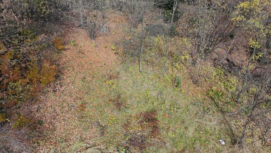 Casa de vacanta Timisu de Sus/Brasov/Oportunitate investitie - 8