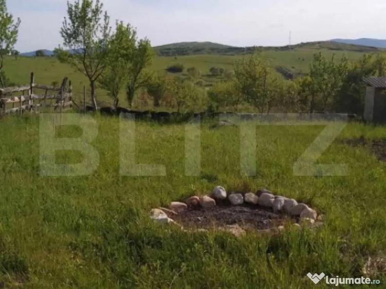 Teren extravilan de vanzare, Valea Budavului - 5