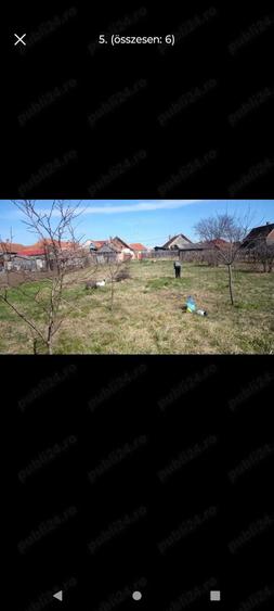 casa in centrul sat Tarian, 13 km din centru oradea - 5