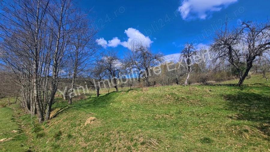 Teren de vanzare in Curtea de Arge?, strada Bu?aga. - 1