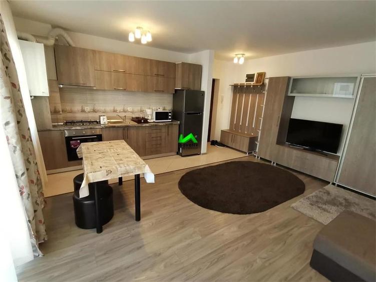 Apartament de inchiriat 2 camere Sibiu Doamna Stanca - 5
