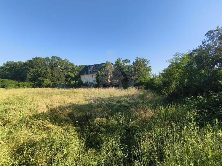 TEREN INTRAVILAN //GAGENI//PAULESTI - 8