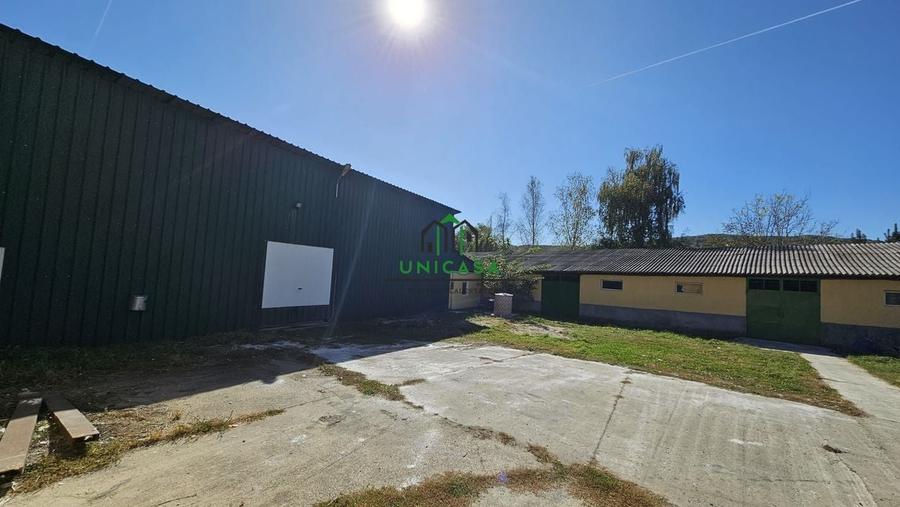 Spatiu Industrial/Depozitare/Hala - 3