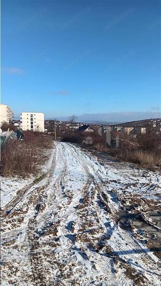 Ocazie! Visani str Castelul Grecilor TEREN 707mp intravilan toate utilitatile - 6