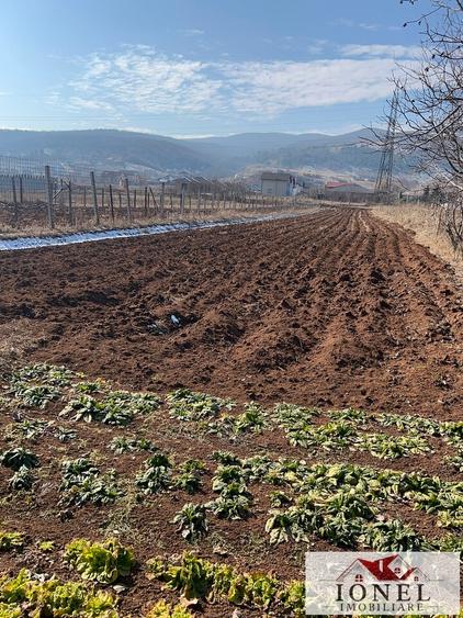 Casa de vanzare in Alba Iulia -2100 mp teren - 7