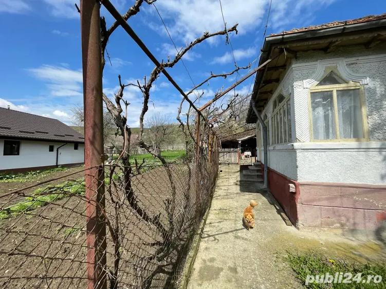 Casa + teren 1312 mp de vanzare in Tisau, Buzau - 5