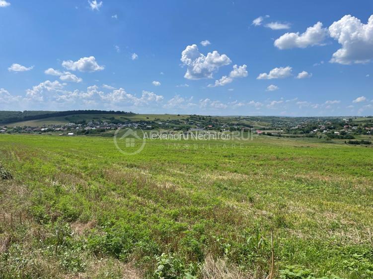 Teren extravilan cu deschidere la 2 drumuri - Miroslava 4500mp