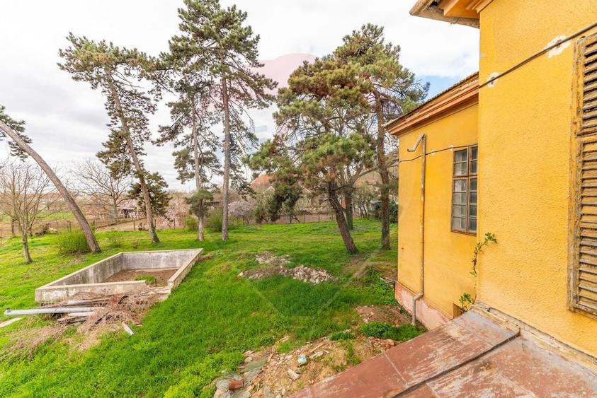 Conac aristocratic secolul XIX , domeniu  2,5 hectare -- Paulis, Arad - 6