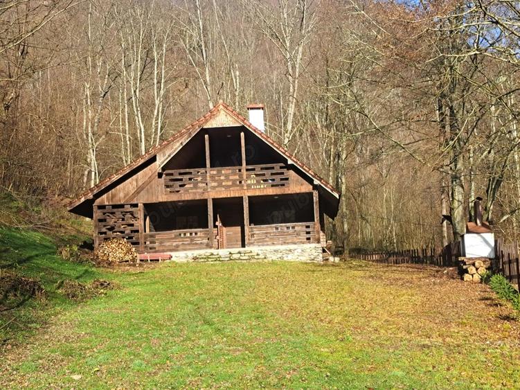 Vand casa pe transalpina in sugag - 1