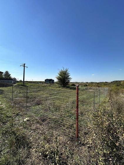 Teren Mogosoaia 624mp (proprietar) - 5