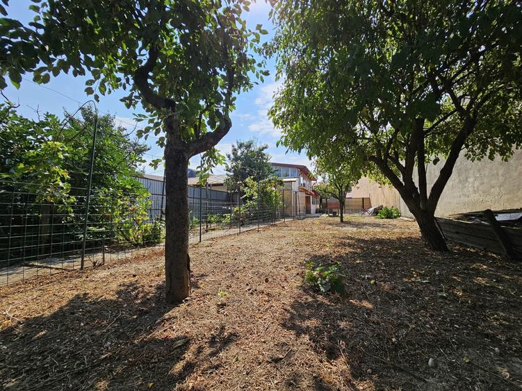 CASA TRADIȚIONALĂ ”MAGNOLIA, P+M 195mp, TEREN 556mp, CHIAJNA-STR. EROULUI - 44