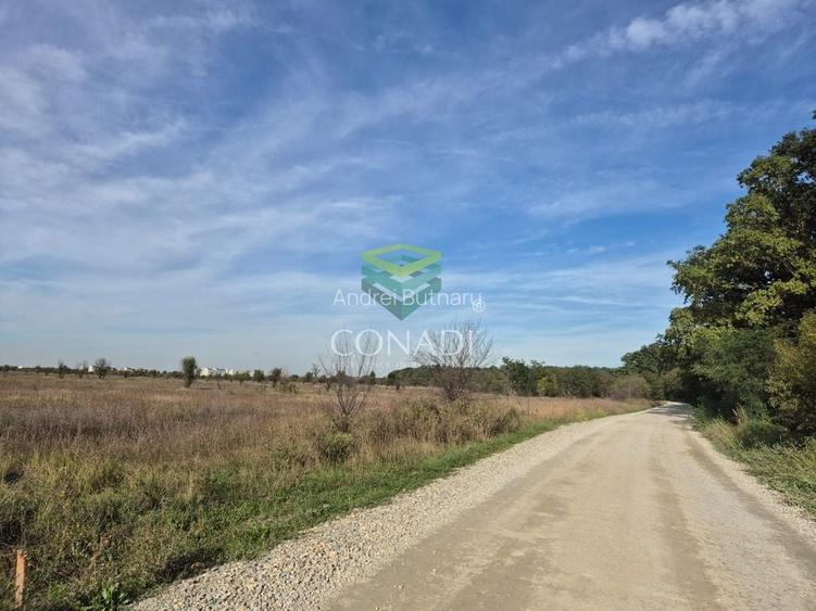 Teren de vanzare Padurea Baneasa 7.500 mp