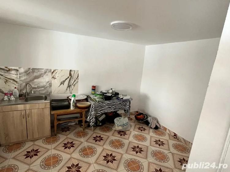 casa de vanzare in trestiana - 5