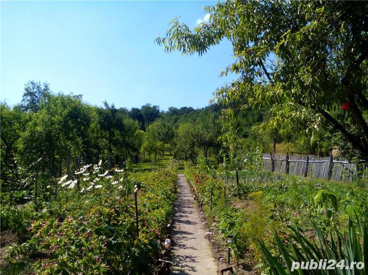 Vand vila si teren intr-o zona superba in loc. Savarsin (jud. Arad) - 1