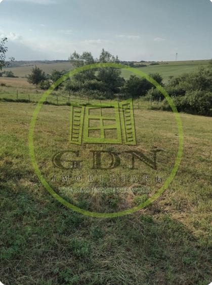 Teren agricol extravilan de 1000 mp, în Rusciori