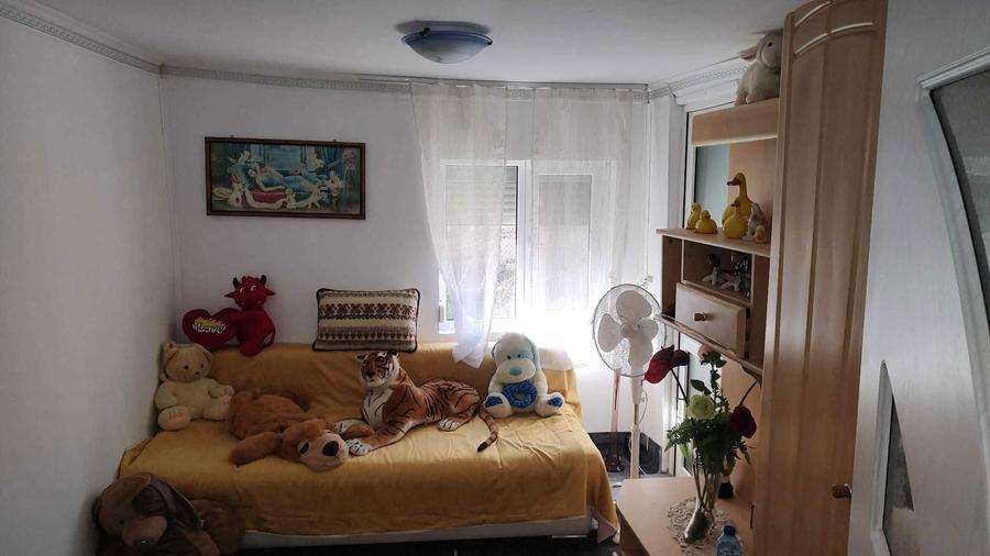 Casa de vanzare cu teren generos - 3