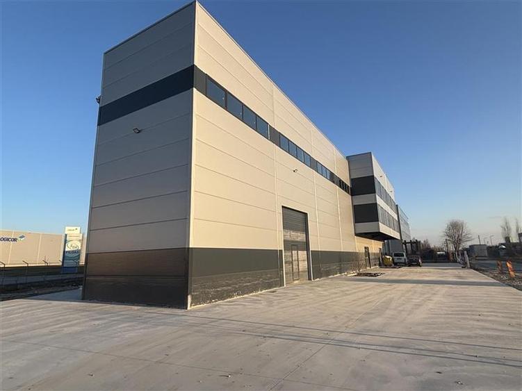 Vanzare depozit/hala/spatiu industrial Mogosoaia - Centura - 2