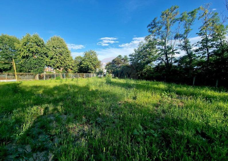 Teren 1,749mp Piatra-Neamt / Strada Zambilelor - 8