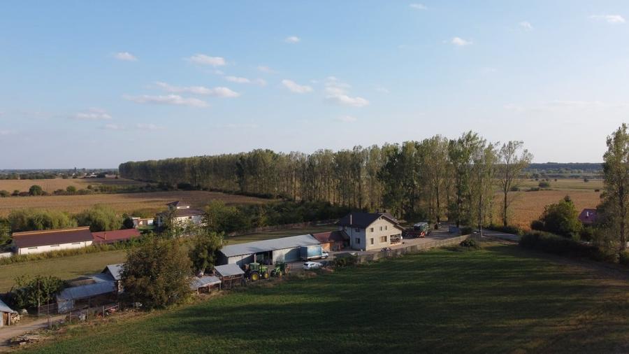 Teren rezidential retras langa lac SNAGOV in Silistea Snagovului, DN1, A3 - 4