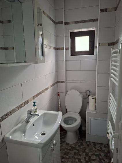 Spatiu Comercial de 100 mp de Inchiriat – Cartier Trivale, Str. Campului-750 eur - 4