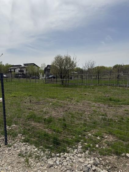 Teren Domnesti 840mp - 2