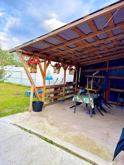 Casa Purcareni Arge? - 1