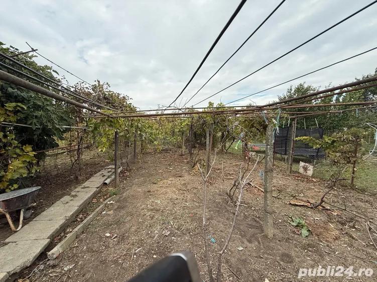 casa batraneasca - 4