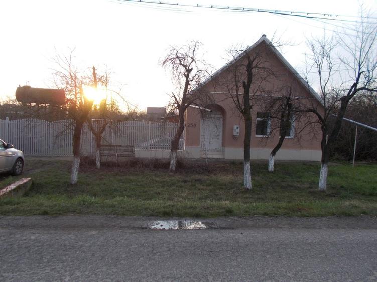 Casa 4 camere, Beregsau mic, central, teren 1350-2677mp, com=0% - 1