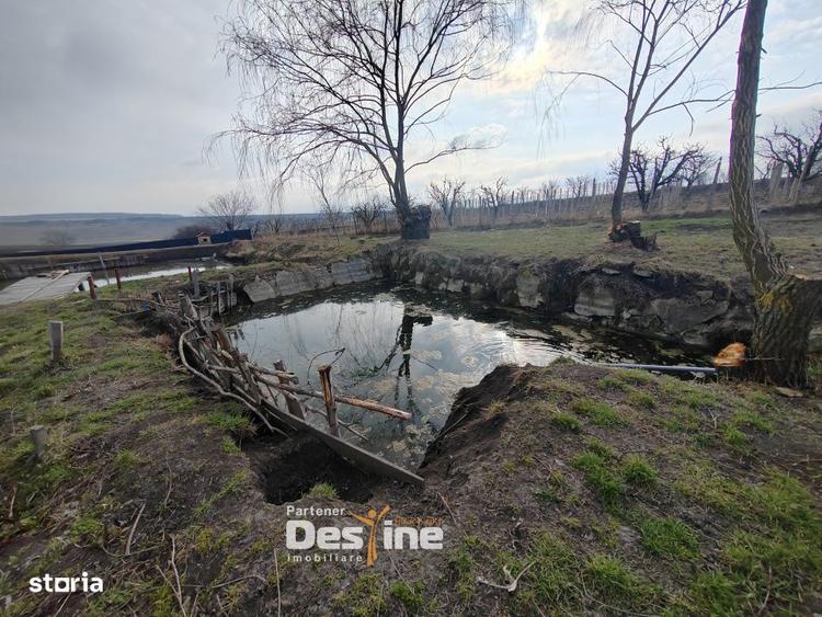 COMISION 0% - Teren intravilan cu 2 iazuri populate 2225 mp Mogose - 2