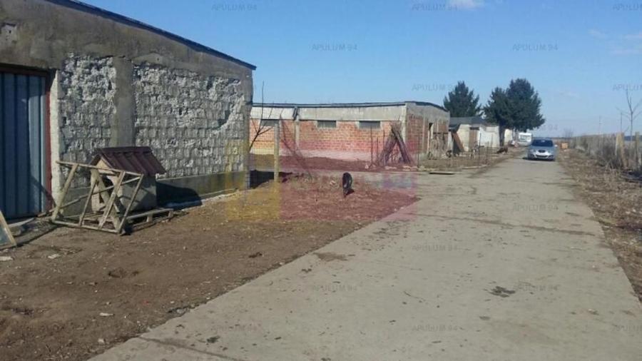 Teren Balotesti- Saftica - 4