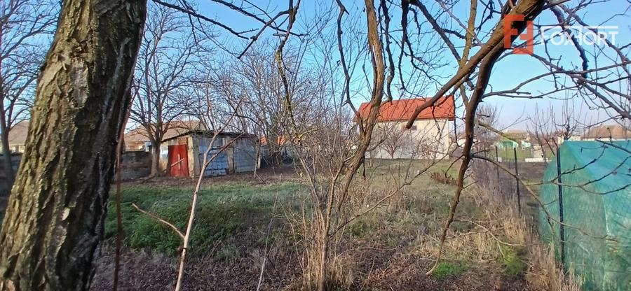 Casa individuala cu 3 camere si teren de 900 mp - Satchinez - 18