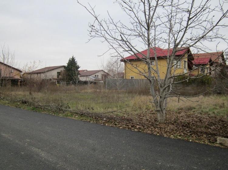 Drumul Targului-Stelelor - 14