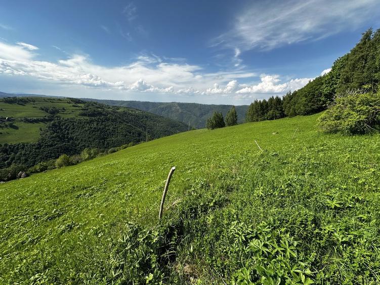 Vand teren extravilan Marisel - 5