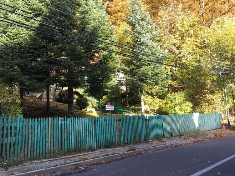 Casa si teren 1000 mp - zona deosebita, pe Furnica, langa Peles - 3