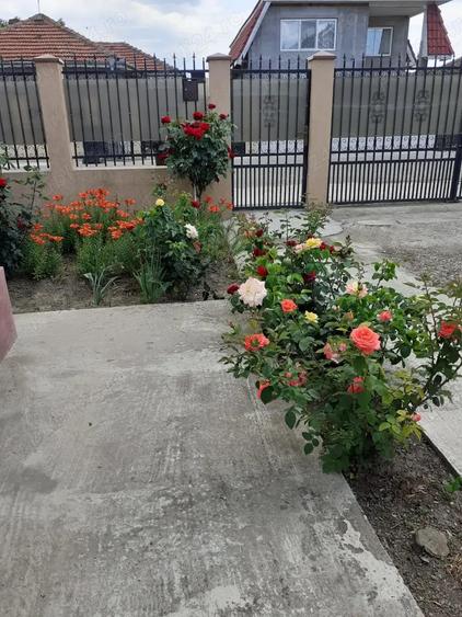 Vand casa cu dependin?e ?i loc de 850mp - 4