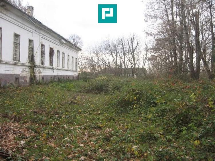 Conac nobiliar de secol XIX cu 8 camere în Maciova - 30