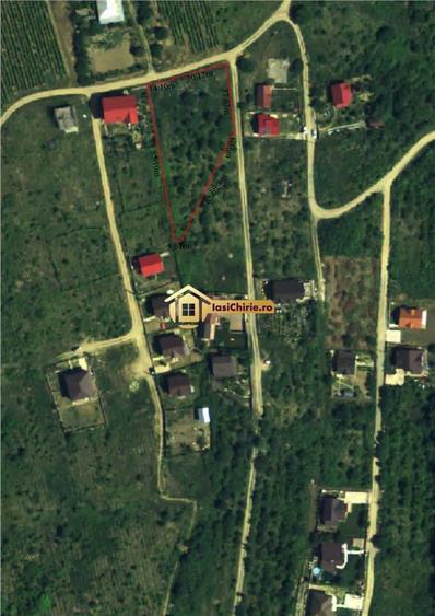 Teren Intravilan Visan - 1