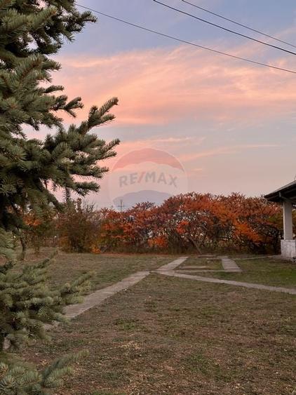 Proprietate speciala Dragomiresti Deal -Teren 15000 mp - 44