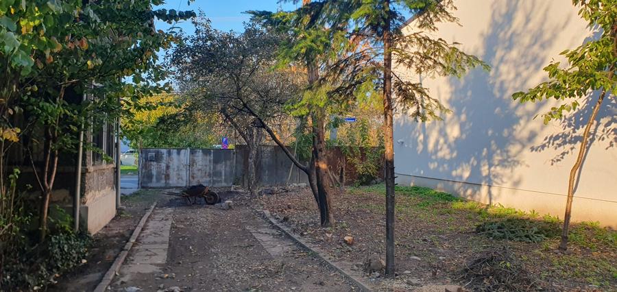 Casa Ploiesti-Toma Ionescu - 3