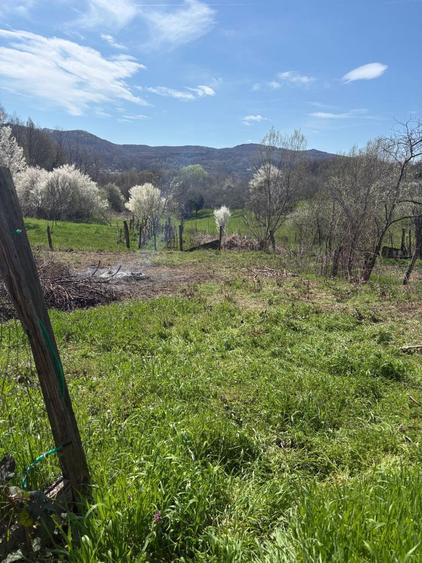 Teren Intravilan Pausesti-Maglasi, jud. Valcea - 1